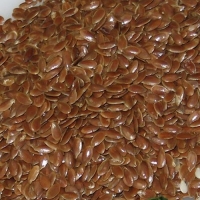 DNS LINSEED 1kg