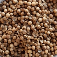 CORIANDER WHOLE SS GF 15KG - Click for more info